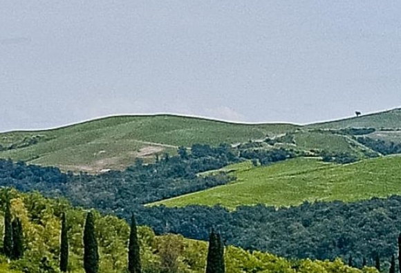 深圳南山科技园有什么公司