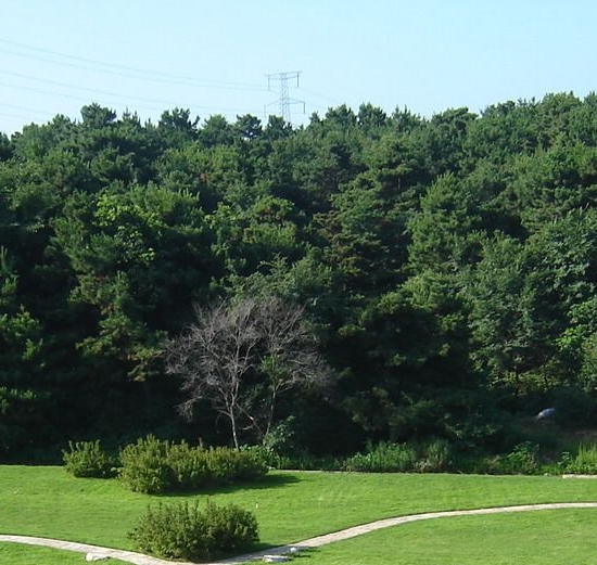 000969安泰科技股吧