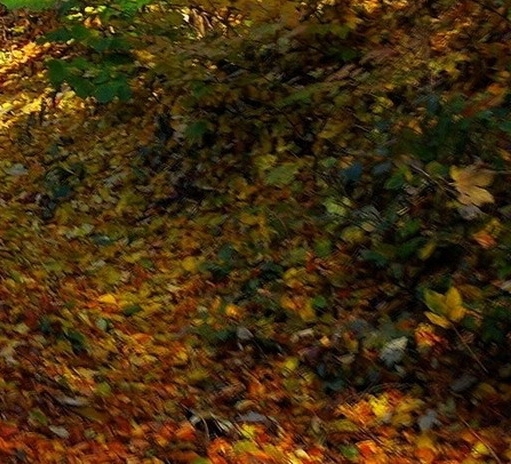 北京电子科技学院研究生官网