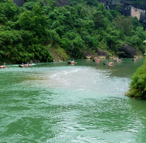 睿能科技公司简介