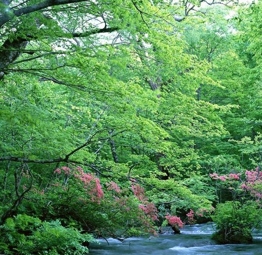 科技改变生活英语句子