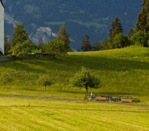 新海科技集团有限公司是上市公司吗