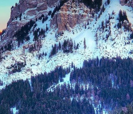 捡到一座科技城免费阅读