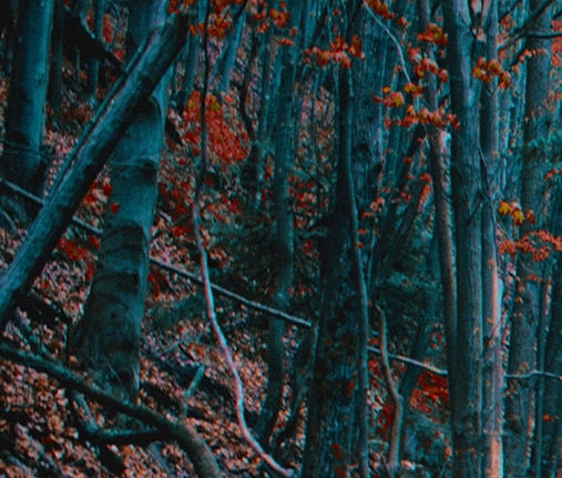 上海慧博科技有限公司