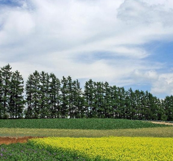 世界之大为何我们相遇