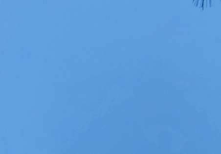 田径世界纪录表