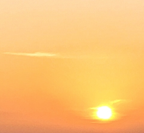 逗比拯救世界官网下载