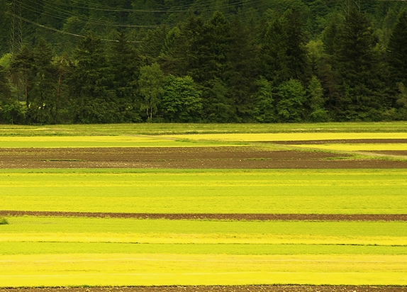 中国的世界文化遗产作文300字免费
