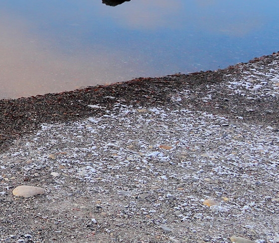 300315掌趣科技千股千评