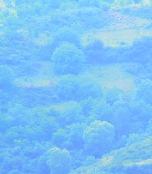 西北农林科技大学经济管理学院与西北农林科技大学经济管理学院介绍