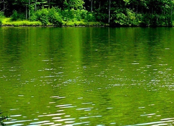 世界上最大的城市是哪儿