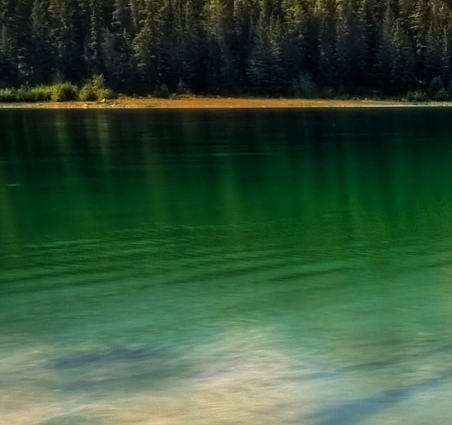 澳门科技馆需要预约吗