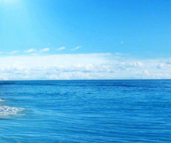 海昌极地海洋公园攻略