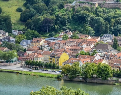 真实世界好看吗