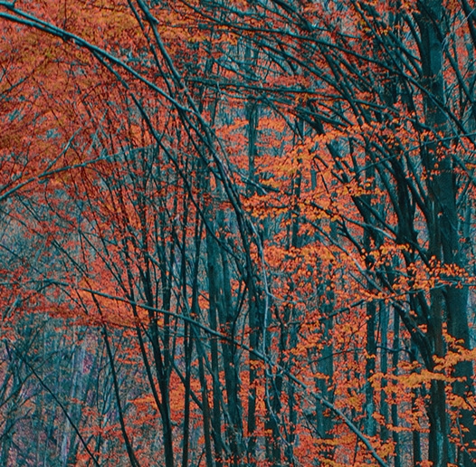 诣阔控制卡官网