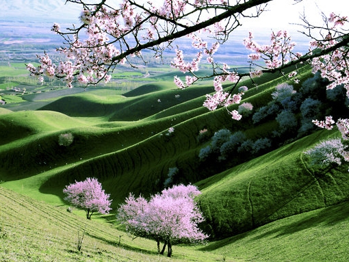 汇得科技公司简介