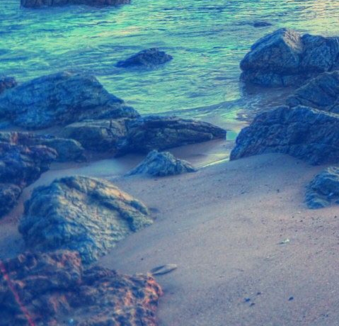 扬州科技学院官网