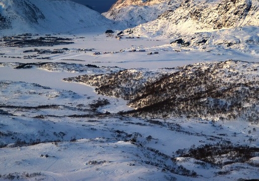 武汉科技大学专升本考试科目