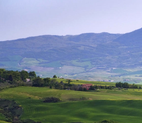 江苏科技大学体育学院老师
