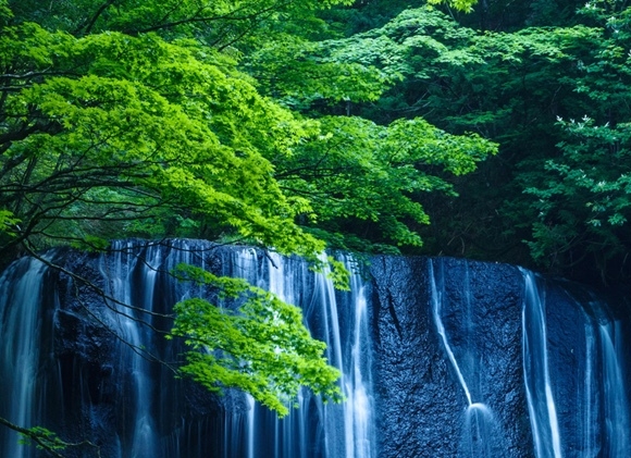 井冈山精神的核心是坚定信念