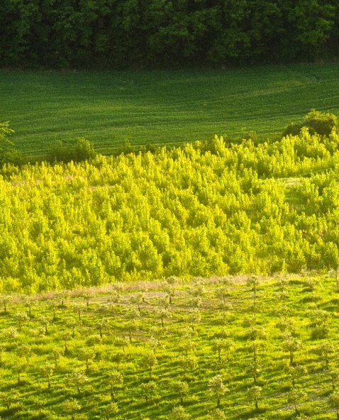 中国民营科技促进会正规吗