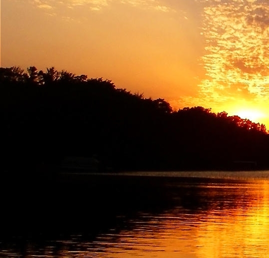 世界500强里面的中国企业