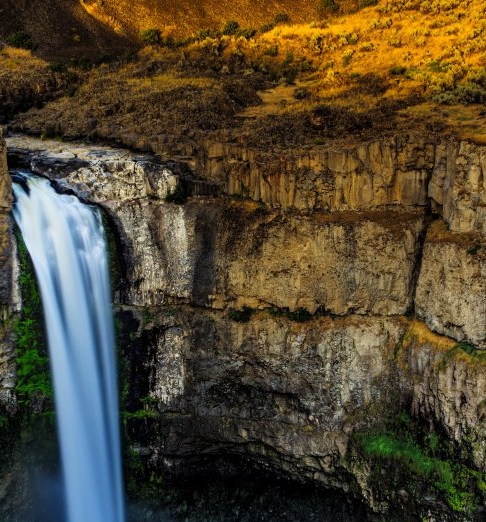 世界银行行长现在是谁