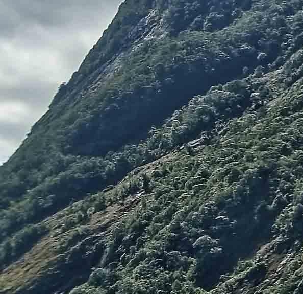 绿地国科健康科技小镇的绿地国科健康科技小镇介绍
