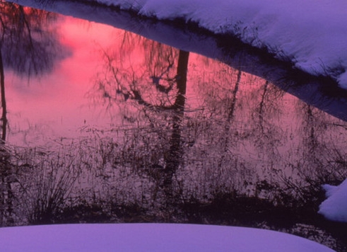 世界洋流图简图