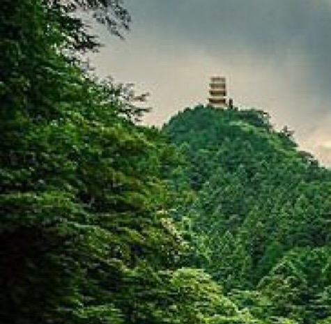 武汉科技大学城市学院就业信息网