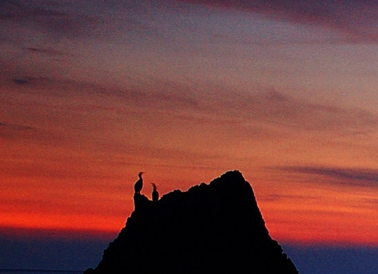 浙江天煌科技实业有限公司怎么样