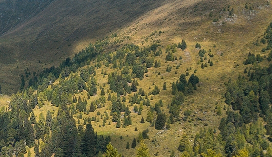 西北农林科技大学前景