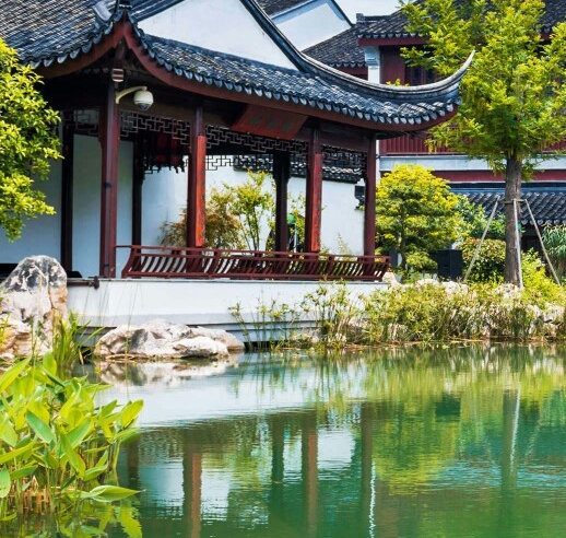 魔宠黑科技魔巢揭秘：起点至顶点，探索神秘生物的超能力与未知传说