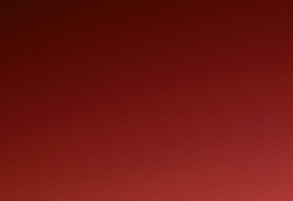 动物世界猴子大全