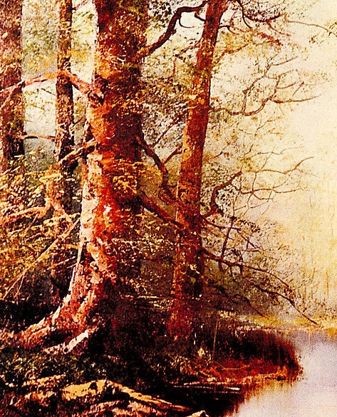 我们活着的世界都是假象