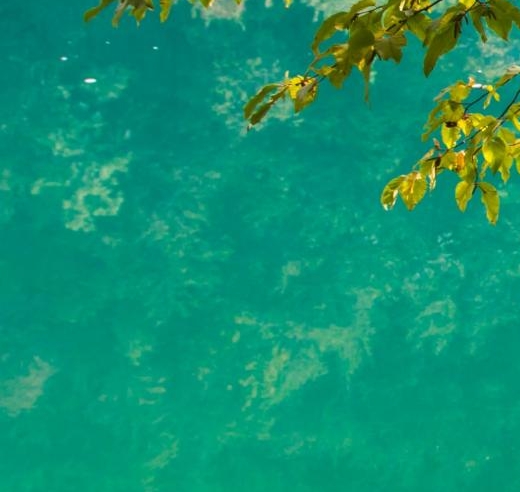 上海科技馆攻略2022