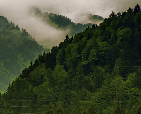 000711京蓝科技股吧