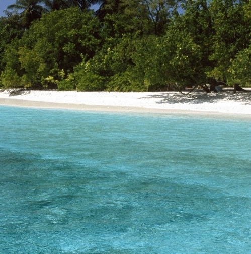 完美世界国服辅助