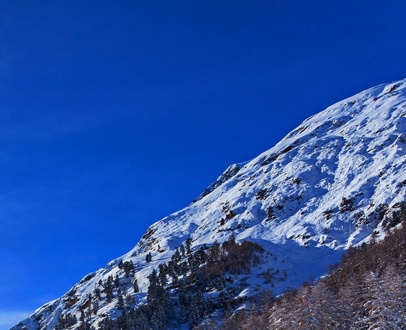 上海科技馆攻略一日游