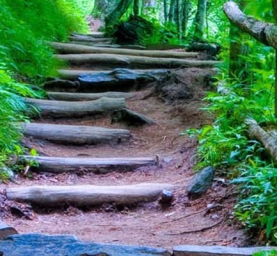 河南科技大学最厉害的导师