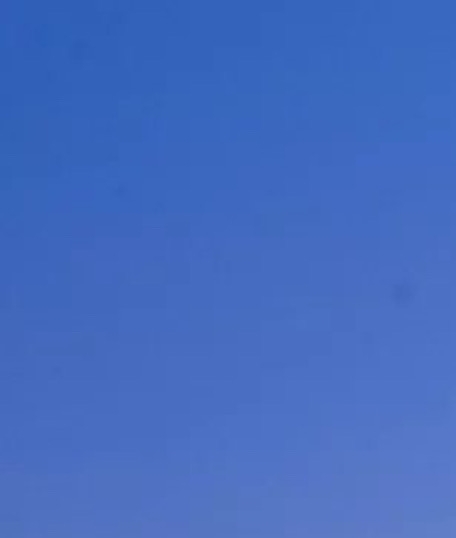 金能科技最新消息