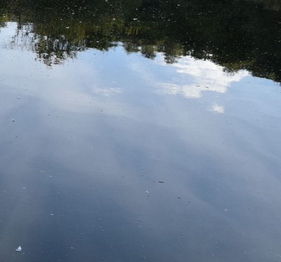 中南林业科技大学是211还是985