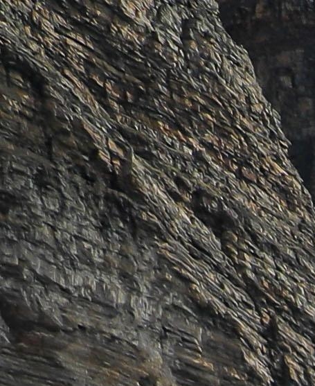 郑州科技学院专业录取分