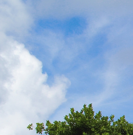 世界最长的河流排名前十名