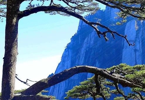 历届世界杯八强回顾：2018年巅峰之战，谁能脱颖而出继续创造辉煌？