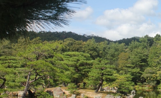 巧云科技有限公司