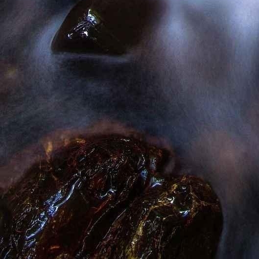 我们奇妙的世界思维导图