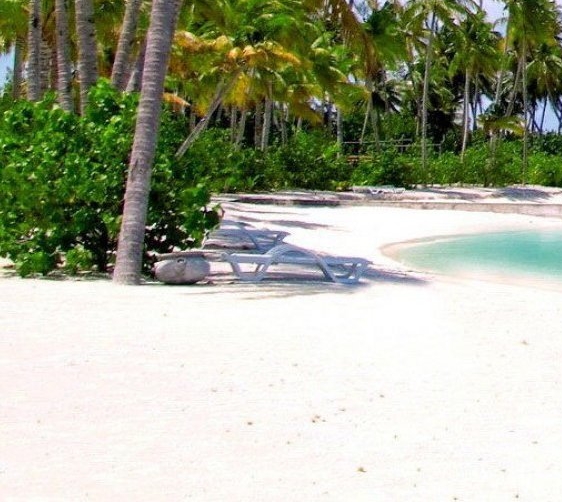 迷你世界国际服ios下载