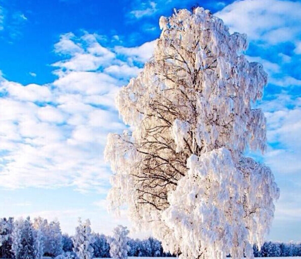 世界国土面积排名前十及准确面积