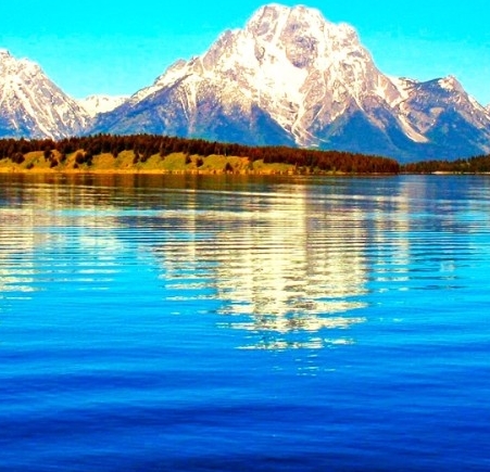 作业帮抢题黑科技